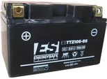 Batteria Energysafe ESTTZ10S-BS 12V/8,6A Sigillata Con Acido
