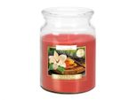 Candela Profumata Grande In Vaso Bispol Aura 100H Wanilia - Burshine