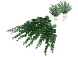 Camerazar Set Di 10 Rami Di Eucalipto Artificiale, Foglie Decorative Verdi