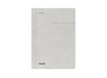 Falken 80003783 Schnellhefter - A4, 250 Blatt, Manilakarton (Rc), Grau