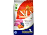 N&D Pumpkin Dog Puppy Mini Agnello E Mirtillo 7 Kg