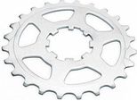 Miche Sproket 11S Campagnolo Silver 24T