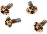 Vite Silca 6Al/4V Titanio, Confezione Da 4, M5 X 12 Bourbon