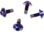 Silca Schraube 6Al/4V Titanio, Confezione Da 4, M5 X 12 Viola Royal