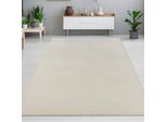 Bellissimo Tappeto Caldo Con Elegante Motivo A Linee Color Crema Dimensioni - 160 X 220 Cm