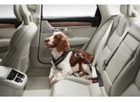 Cinghia Per Cani Volvo Fino A 60 Kg Per Il Sedile Posteriore