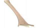 Volvo S60 V60 Montante Interno Anteriore Sinistro 31354106 Oe