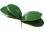 Foglie Di Phalaenopsis, 5 Pezzi, Artificiali, Per La Decorazione Di Matrimoni, Per La Casa