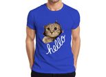 Maglietta Da Uomo Con Muso Di Gatto Che Guarda Attraverso La Carta, Blu, Xl