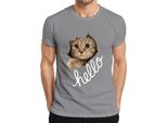 Maglietta Da Uomo Con Muso Di Gatto Che Guarda Attraverso La Carta, Grigio, Xl