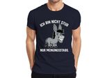 Non Sono Testardo, Sono Solo Un Asino Supponente Che Dice Umorismo T-Shirt Da Uomo, Navy, 3XL