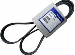 Volvo C30 C70 S40 V50 Cinghia A V 2.0D - Nuova, Originale, Concessionario Autorizzato
