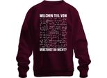 What Part Of Maths Don't You Understand Formulas Nerd Iq Funny Unisex Sweatshirt Pullover, Burgundy, L