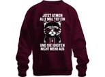Ora Tutti Fanno Un Respiro Profondo Dicendo Che Il Gatto Cool Ironia Unisex Felpa Maglione, Bordeaux, Xxl