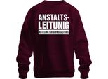 Dipartimento Di Gestione Delle Istituzioni Gravemente Disturbato Sarcasmo Clinica Umorismo Felpa Unisex Pullover, Borgogna, Xl