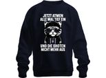 Ora Fate Tutti Un Respiro Profondo, Dicendo Che Il Gatto è Ironico, Felpa Unisex, Navy, Xxl