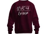 Matematica Formula Scienza Regalo Nerd Studenti Fisica Ingegneri Felpa Unisex Pullover, Borgogna, S