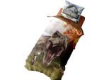 Jurassic World - Biancheria Da Letto Reversibile TC161 (Letto Singolo) (Colorato)