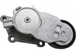 Volvo V70 S80 Tenditore Cinghia Trapezoidale 1.6D Oe 31251129