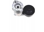 Volvo C30 C70 S40 V50 Tenditore Cinghia Trapezoidale Oe 31251654