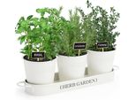 Perfnique Fioriera Da Giardino Per Erbe Aromatiche Da Interno, Da Esterno, Davanzale Della Finestra (Solo Fioriera) Vasi Da Finestra