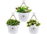 Bofunx 3 Pezzi Vasi Di Fiori Appesi Metallo Cesto Di Vasi Vintage Corda Di Iuta Gancio Autoadesivo Fiori Piante Decorazione Murale Vaso Da Giardino