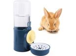Abbeveratoio Coniglio Abbeveratoio Automatico 500 Ml Erogatore D'acqua Piccoli Animali Porcellino D'india/Ciniglia (Blu)