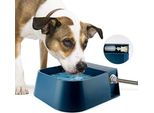 Namsan Galleggiante Ciotola Per Bere Animali Domestici Abbeveratoio Automatico Per Cani Valvola Cani/Gatti/Polli/Anatre/Cavalli/Pecora