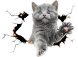 Inf Adesivi Auto 3D Gatto Grigio: Creativi, Grandi, Pvc, 24.5X19Cm, Set Da 2