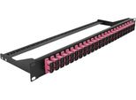 Delock - Patch Panel - Rack Montierbar - Sc Duplex Mm X 24 - Schwarz, Violett - 1U - 48.3 Cm (19")"