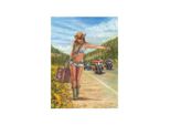Anatolian Puzzle American Gypsy 1000 Teile