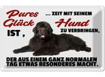 Vianmo Insegna Di Latta 20X30 Cm Pures GlüCk Ist Zeit Mit Hund