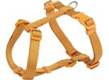 Premium H-Collare 52–75 Cm/20 Mm Curry