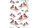 Itd Carta Di Riso Per Decoupage, Uccelli R0590
