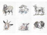 Itd - Set Di Carta Di Riso - Itd - RSM002 - Galline E Ochette