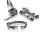 Guinzaglio Per Cani Grigio Hunter (100 Cm)