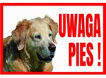 Attenzione Cane Golden Retriever 250X175 Cartello Di Avvertimento Informativo In Pvc