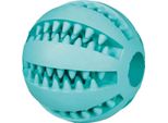 Denta Fun Ball ø 6 Cm
