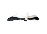 Rhombus 3D Jonas Seagull Kite 150X47Cm