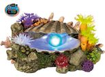 Ornamenti Acquatici "Muschel"" Con Piante Con Led 21,3 X 14,7 X 10,7 Cm"