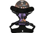 Avvistato! Imbracatura Pro Viola S