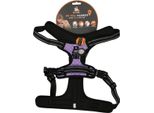 Avvistato! Imbracatura Pro Viola Xl