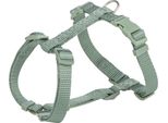 Collare Premium H 52–75 Cm/20 Mm Salvia