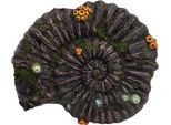 Nobby Aqua Ornaments "Ammonites Fossil"" 33,8 X 28,5 X 10 Cm"