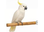 Posatoio Per Pappagalli - Giocattolo Naturale Per Uccelli Di Grandi Dimensioni
