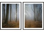Poster Di Pittura In Cornice, 53 X 73 Cm, Dittico, Set Di 2, Bosco D'autunno, P2093