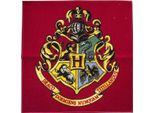 Harry Potter - Tappeto Di Hogwarts TC483 (Taglia Unica) (Colorato)