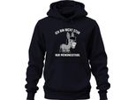 Non Sono Testardo, Sono Solo Un Asino Che Ha Un'opinione E Un Umorismo Divertente, Felpa Con Cappuccio Unisex, Blu, 3XL