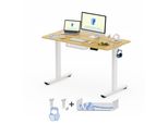 Scrivania Flexispot Regolabile In Altezza 120X60Cm Elettrica Con Piano In Un Unico Pezzo, Gestione Dei Cavi E Ganci, 4 Funzioni Di Memoria (Acero)