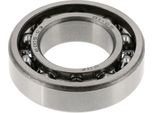 Cuscinetto A Sfere 6005 C3, Trazione Posteriore - Mz Etz 250, 251, Es 175, 250